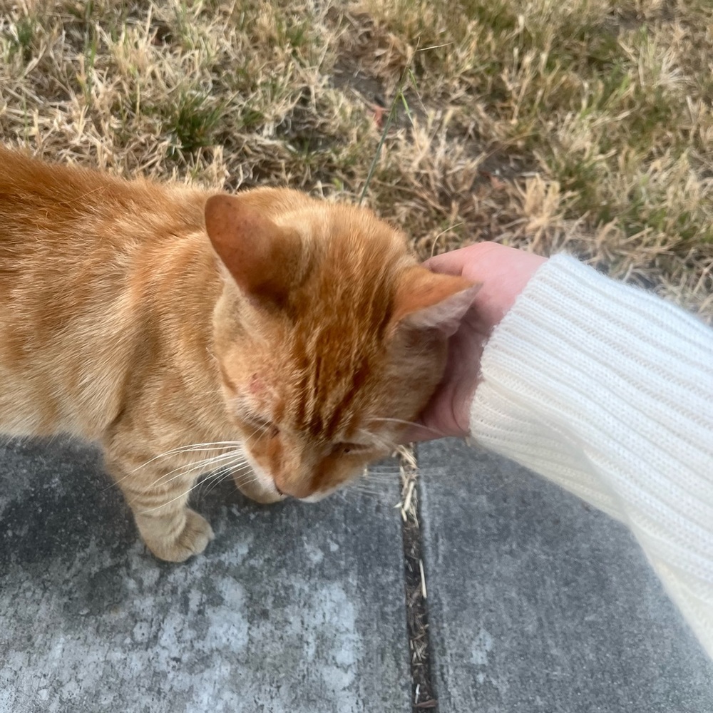 Meet your Posher, Zoey